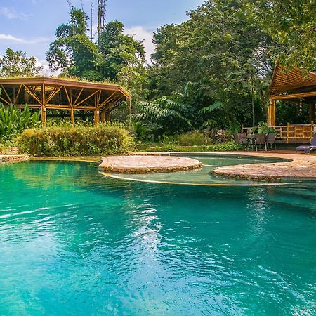 Banana Bamboo Ecolodge Ubatuba Esterno foto