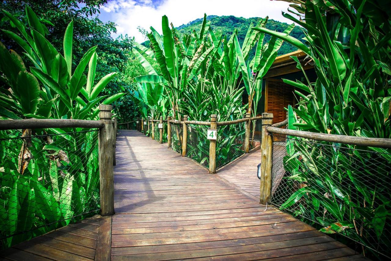 Banana Bamboo Ecolodge Ubatuba Esterno foto